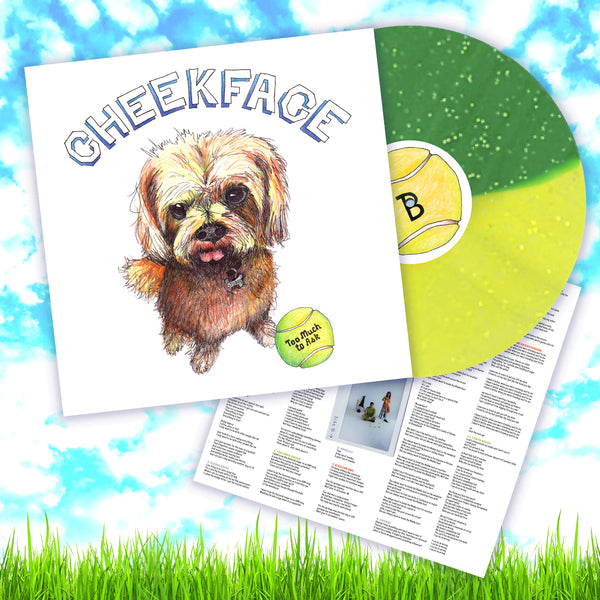 Cheekface - Too Much To Ask